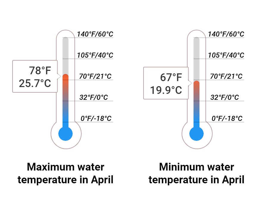 Average Sea temperature